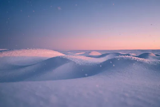 Snow Dunes with Hoarfrost at Twilight