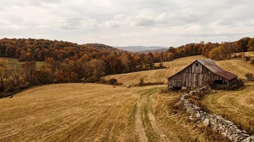 Weathered Barn in Autumn Rolling Farmland