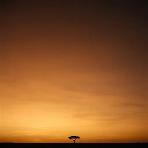 Lone Acacia Silhouette at Sunset