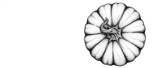 Top-Down Stipple Ink Pumpkin Illustration