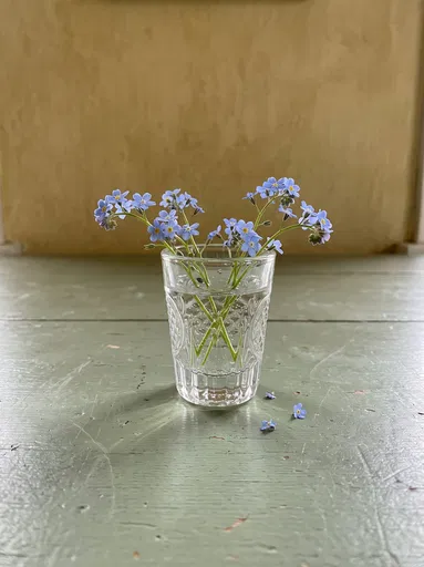 Forget-Me-Nots in Pressed Glass