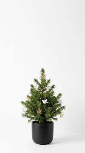 Small Potted Christmas Tree on White