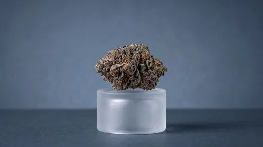 Purple Indica Bud on Glass Pedestal