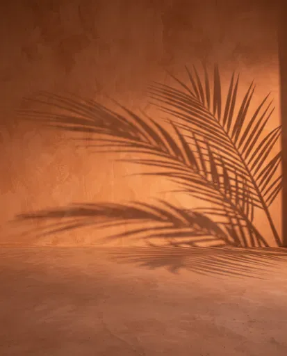 Warm Terracotta Plaster Wall with Palm Shadows