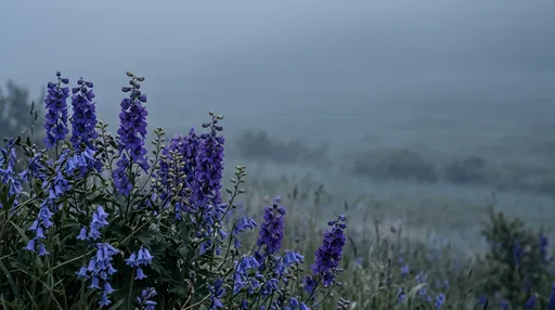 Delphiniums and Bluebells in Misty Meadow