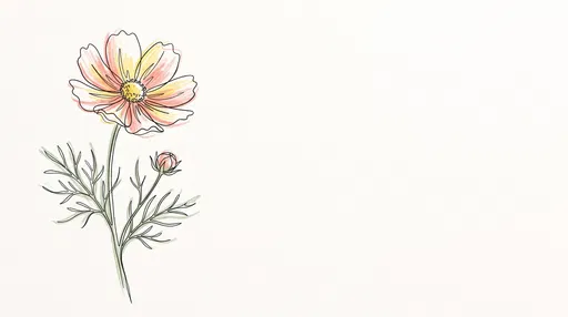 Minimalist Cosmos Flower Line Drawing