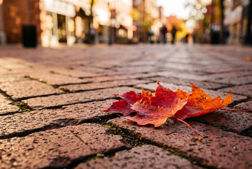 Autumn Maple Leaves on Brick Pavers