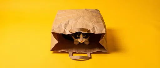 Tuxedo Cat Hiding in Paper Bag