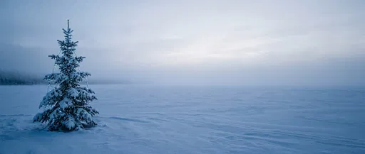 Snowy Christmas Tree on Frozen Lake