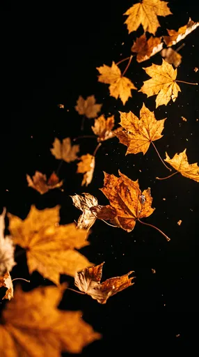 Falling Golden Autumn Maple Leaves on Black