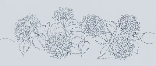 Continuous Line Drawing of Hydrangea Clusters