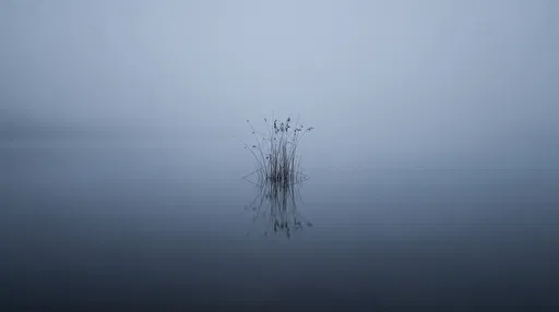 Minimalist Marsh Reeds in Misty Water