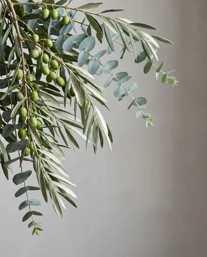 Dewy Olive and Eucalyptus Branches on Grey