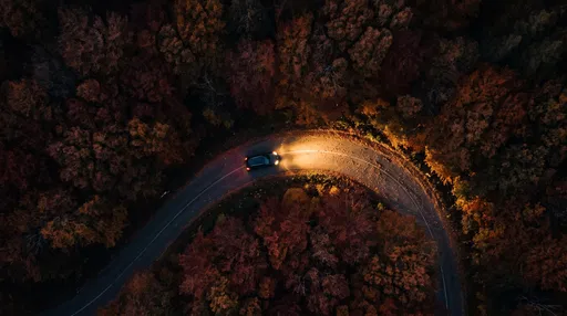 Aerial Night View of Autumn Forest Road
