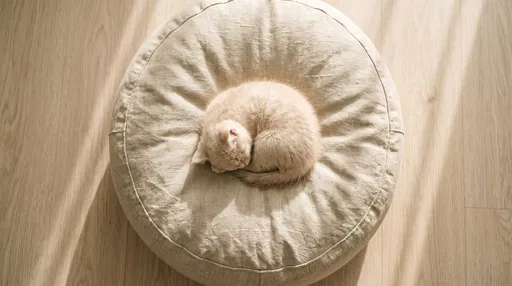 Cream Kitten Sleeping on Linen Floor Pouf