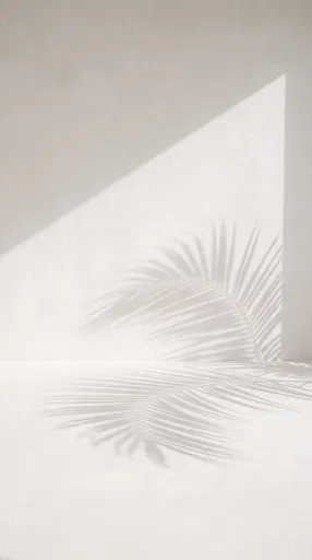 Off-White Plaster Backdrop With Palm Shadows