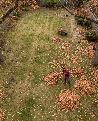 Aerial View of Autumn Yard Cleanup