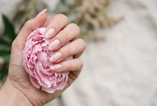 Hand With Pink French Nails Holding Peony