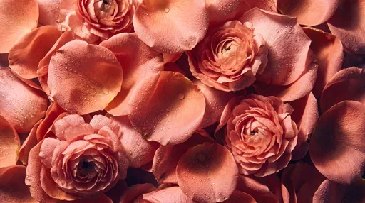 Peachy Pink Floral Petals with Dewdrops