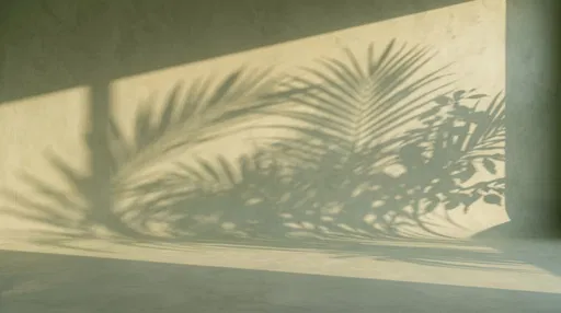 Palm Shadows on Sage Limewash Wall