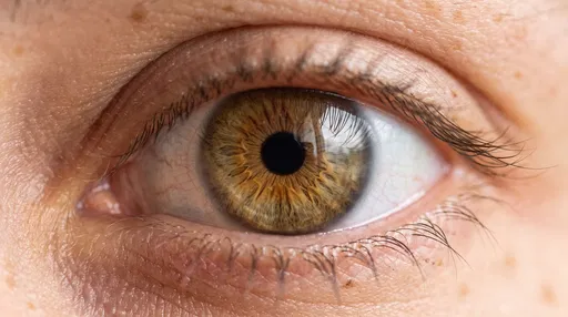 Macro Close-Up of Light Brown Eye