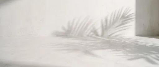 Minimalist Plaster Room With Palm Leaf Shadows