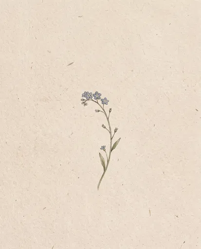 Minimalist Forget-Me-Not Botanical Illustration