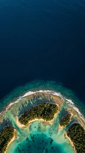 Top-Down Aerial View of Tropical Atoll