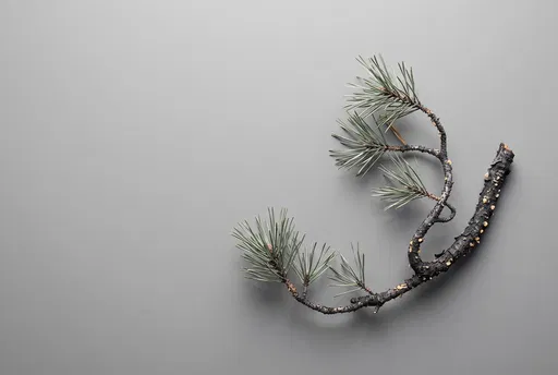 Minimalist Pine Twig on Grey Background