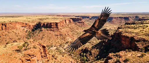 Eagle Soaring Over Red Rock Canyon