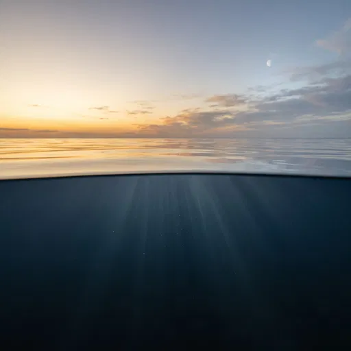 Split View Ocean Sunset and Underwater