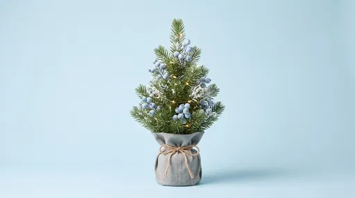 Mini Pine Tree with Blue Berries