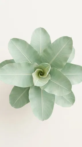 Top-Down Pastel Mint Abaca Plant