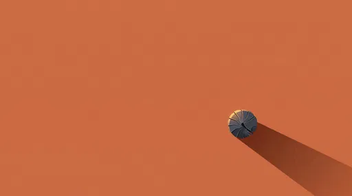 Minimalist Curled Pillbug on Terracotta