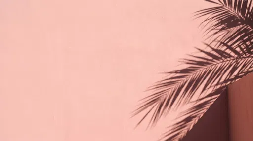 Palm Leaf Shadow on Pink Stucco Wall