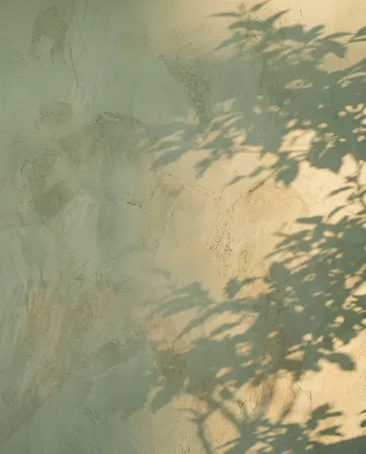 Sage Limewash Wall With Leaf Shadows