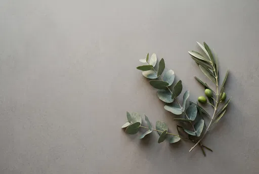 Eucalyptus and Olive Branches Flat Lay