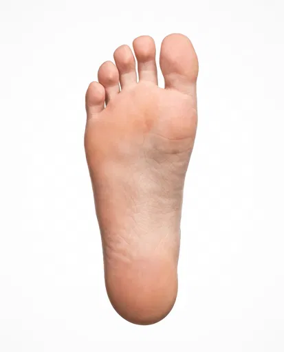 Isolated Bare Foot Sole on White