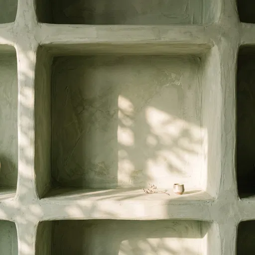 Sunlight on Sage Green Plaster Shelf
