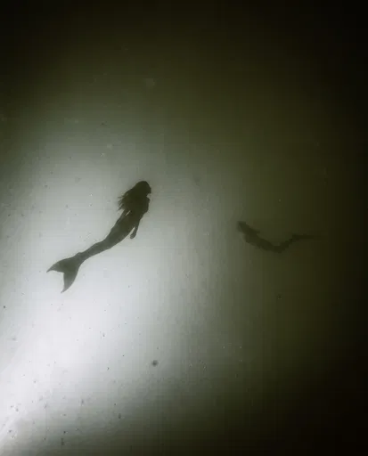 Mermaid Silhouettes in Murky Water