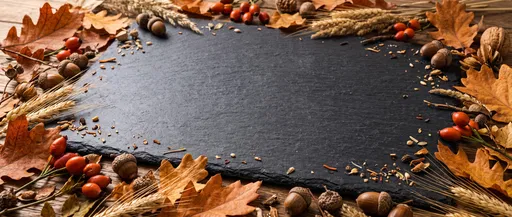 Dark Slate Board Framed by Autumn Foliage