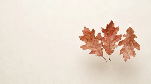 Three Dried Oak Leaves on Parchment