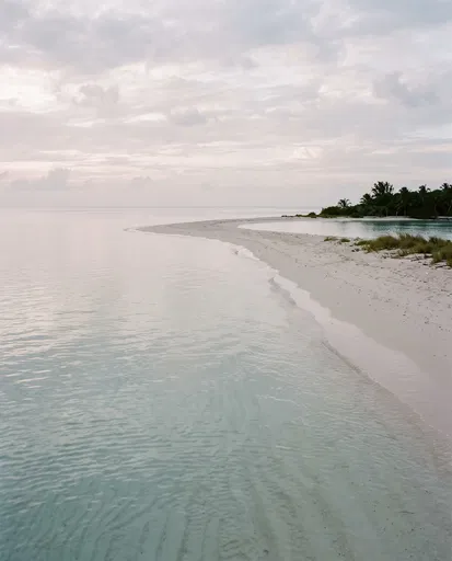 Serene Pastel Island Sandbar at Dawn