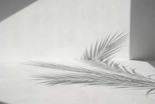 White Plaster Room With Palm Shadow