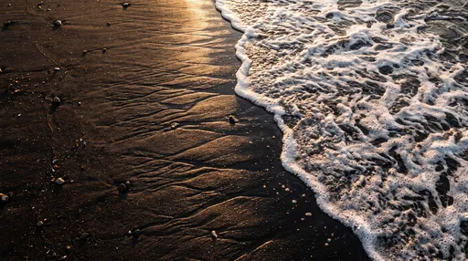 Golden Sunlight on Black Sand Beach