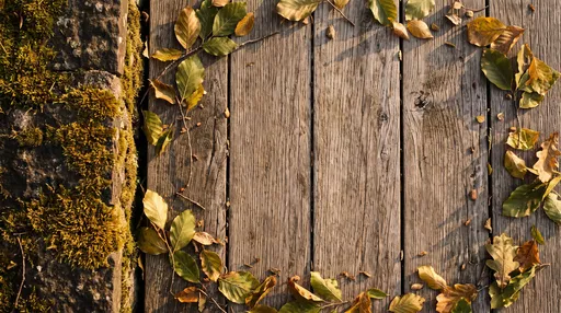 Autumn Leaves Frame Weathered Wood Planks
