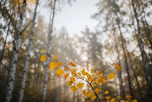 Golden Autumn Branch in Misty Forest