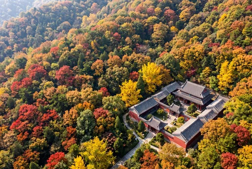 Aerial View of Chinese Courtyard in Autumn