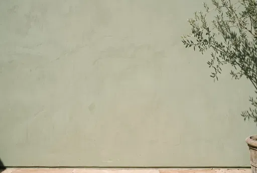 Sage Green Wall With Olive Branch