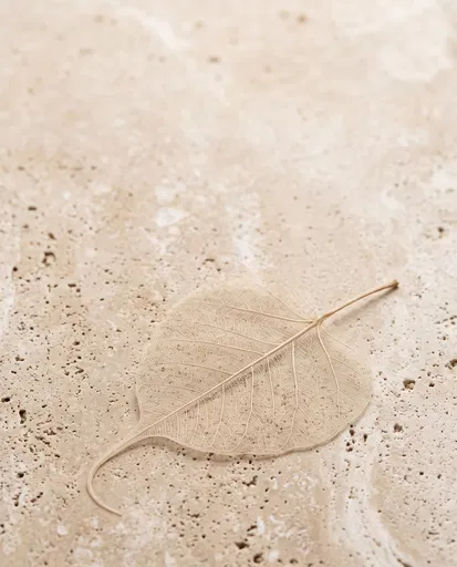 Skeleton Bodhi Leaf on Beige Travertine